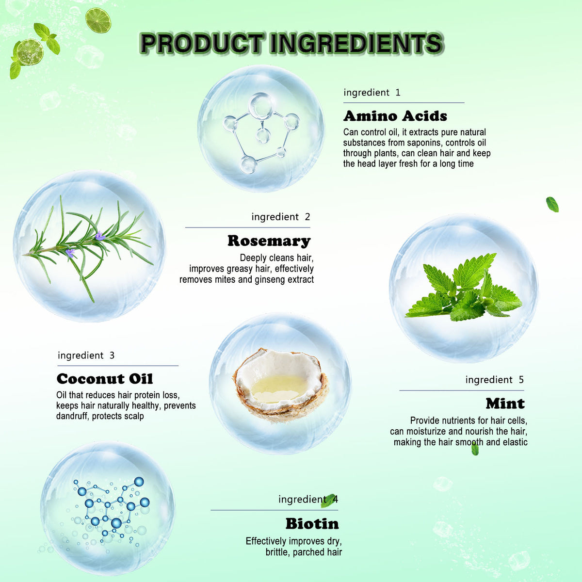 EELHOE Rosemary Mint Shampoo for Dry, Frizzy Hair